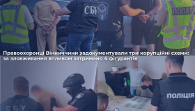 Правоохоронці Вінниччини задокументували три корупційні схеми: за зловживання впливом затримано 4 фігурантів