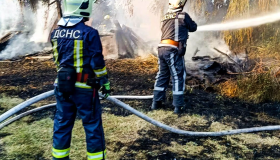 Спека та посуха підвищують пожежну небезпеку: за добу на Київщині ліквідовано 31 загоряння в екосистемах